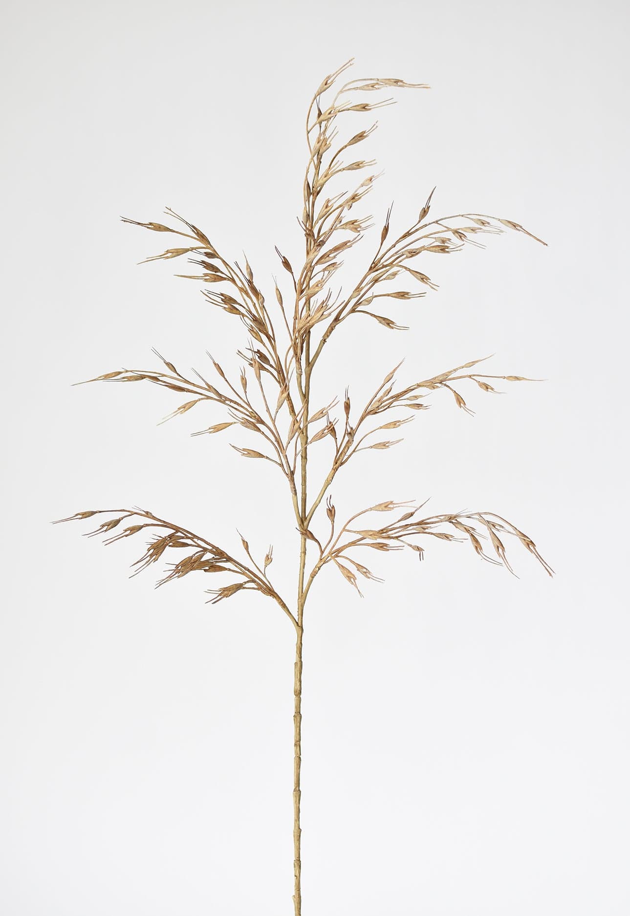 34" Faux Beige Wild Wheat Stem