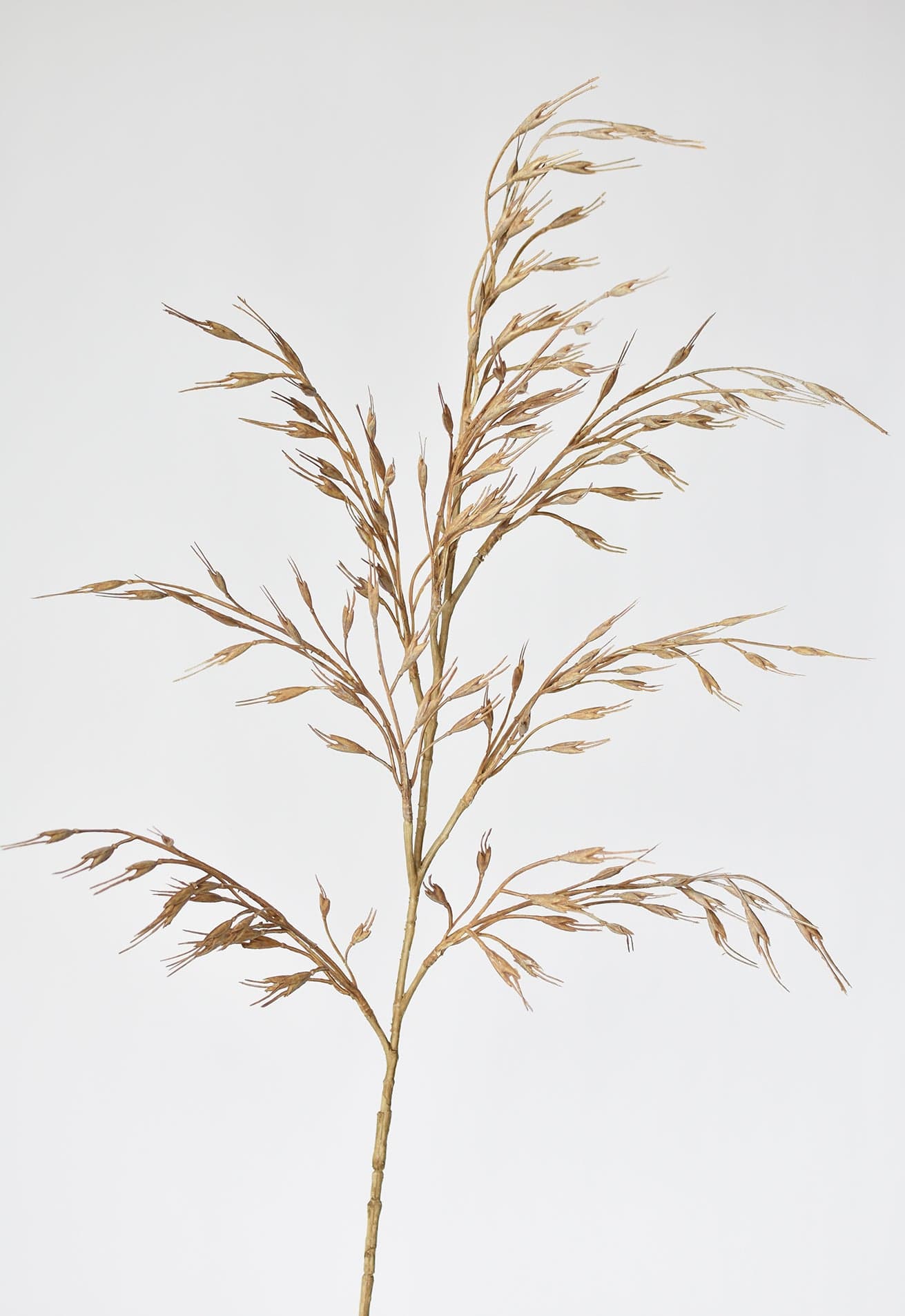 34" Faux Beige Wild Wheat Stem