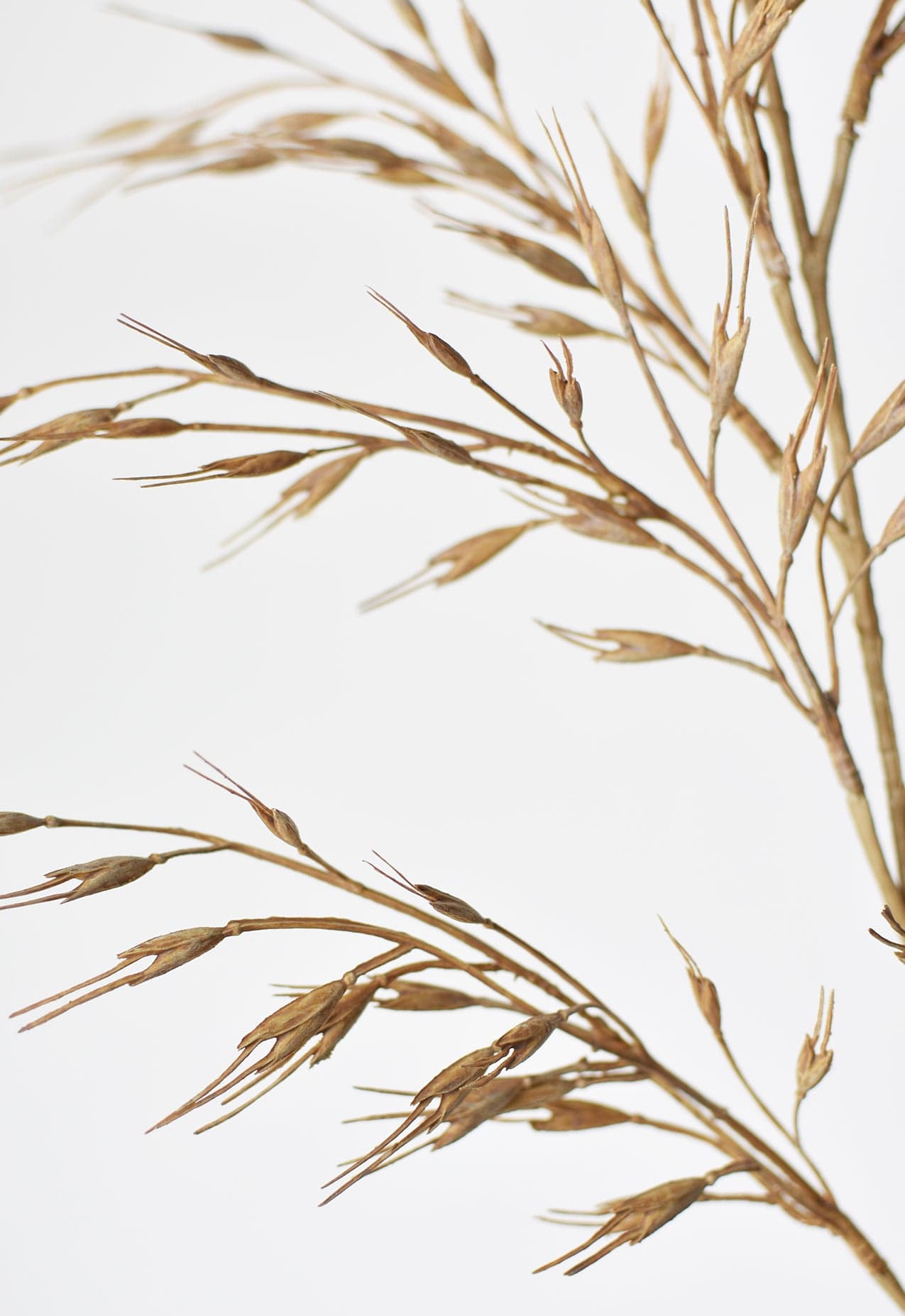 34" Faux Beige Wild Wheat Stem